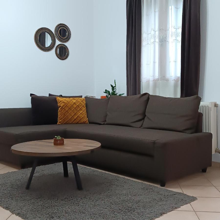 Baou House 1 Apartment Metsovo Exterior photo