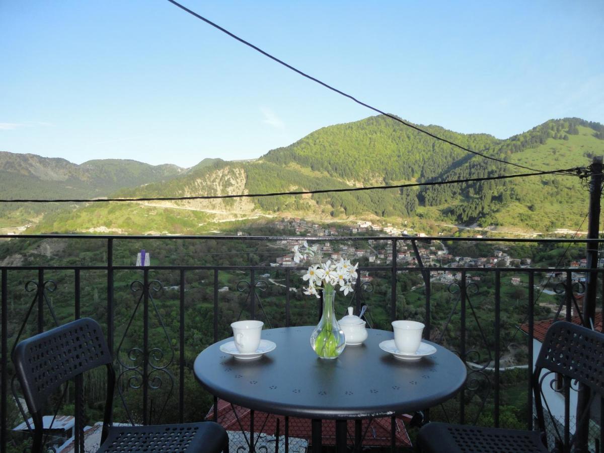 Baou House 1 Apartment Metsovo Exterior photo
